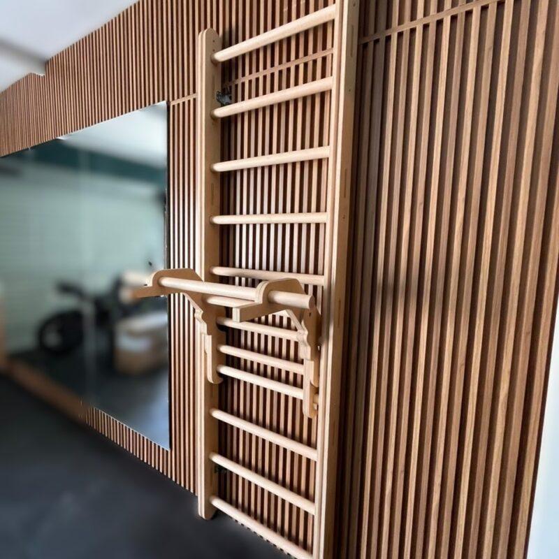 Swedish Ladder with Dip Bar/Pull-Up (Straight)